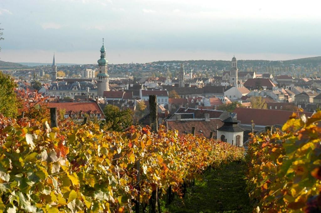 Polus Pension Sopron Kültér fotó